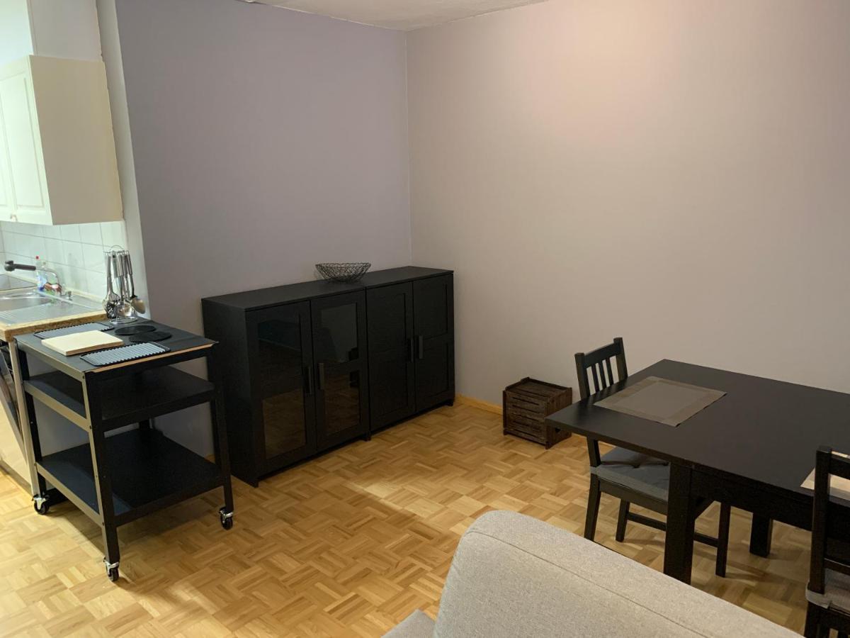 Xl City Center Apartment-Contactless Check-In Bázel Kültér fotó