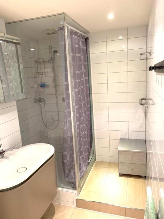 Xl City Center Apartment-Contactless Check-In Bázel Kültér fotó